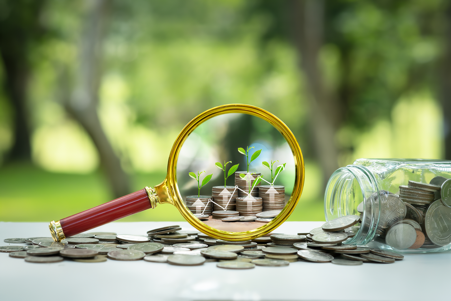investment transparency